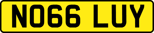 NO66LUY