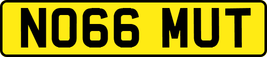 NO66MUT
