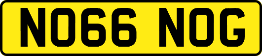 NO66NOG