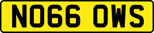NO66OWS