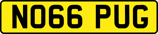 NO66PUG