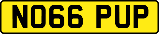 NO66PUP