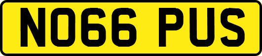 NO66PUS