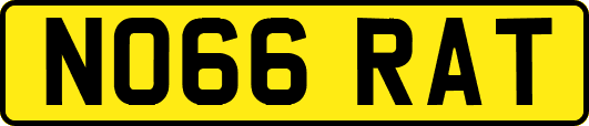 NO66RAT