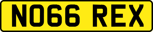 NO66REX