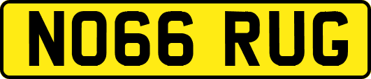 NO66RUG