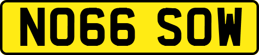 NO66SOW
