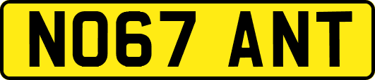 NO67ANT