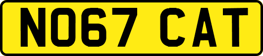 NO67CAT