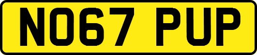 NO67PUP