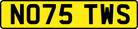 NO75TWS