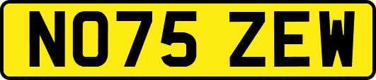 NO75ZEW