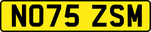 NO75ZSM