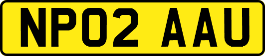 NP02AAU