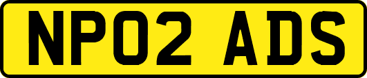 NP02ADS