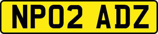 NP02ADZ