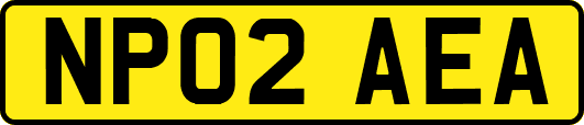 NP02AEA