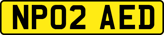 NP02AED