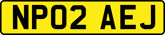 NP02AEJ