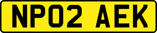 NP02AEK