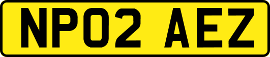 NP02AEZ