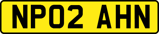 NP02AHN