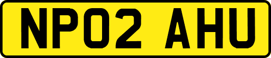 NP02AHU