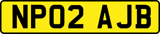 NP02AJB