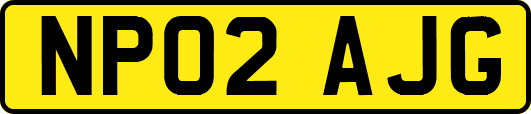 NP02AJG