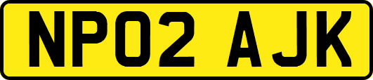 NP02AJK