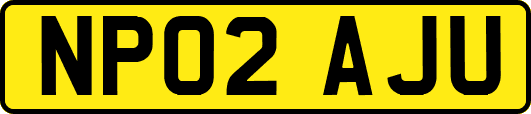 NP02AJU