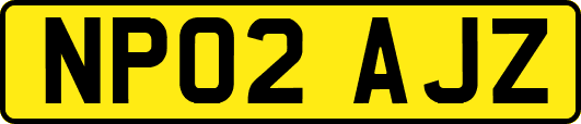 NP02AJZ