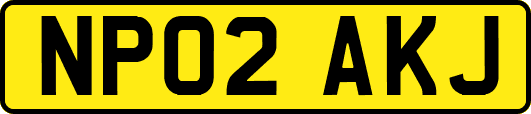 NP02AKJ