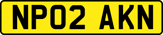 NP02AKN