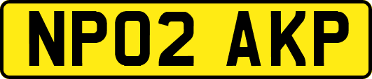 NP02AKP