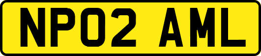 NP02AML