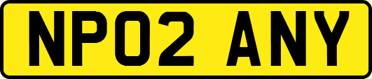 NP02ANY