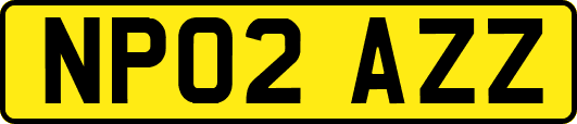 NP02AZZ