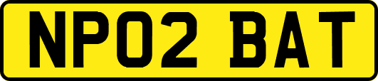 NP02BAT