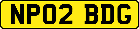 NP02BDG