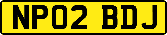 NP02BDJ