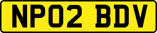NP02BDV