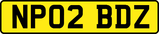 NP02BDZ