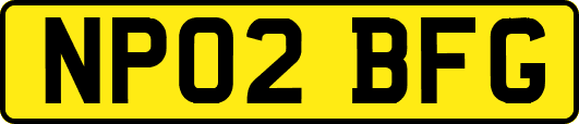 NP02BFG