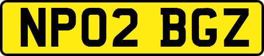 NP02BGZ