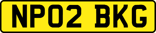 NP02BKG