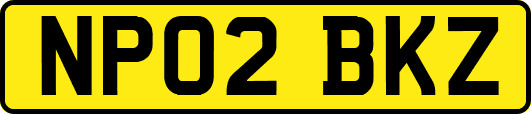 NP02BKZ