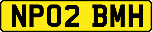 NP02BMH