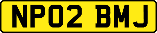NP02BMJ