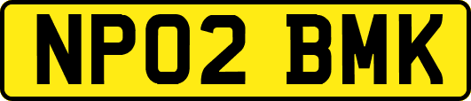NP02BMK